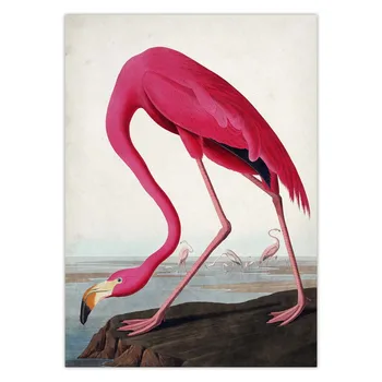 Vintage Ptica Platno, Tisk Audubon Ptica Plakati Pink Flamingo Zasneženih Sova Étienne Modra Bela Čaplja Egret Platno Stensko Slikarstvo Umetnost