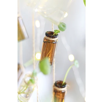 Mini Stekla, ki visi cvet pot 9pcs steklenice planter maceta colgante macetas decorativas pribor vrt Hydroponics lončki
