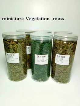 Miniaturni Vegetacije moss Vegetacije simulacije trave v prahu scenarijev DIY vrt materialov 400ML