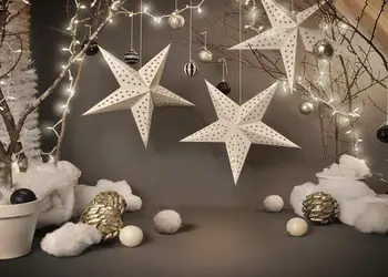 Božični Luči Visi Papirja Star Svetilka Silver & Drevo, veja Baby Portrait Fotograranje Ozadje Za Foto Studio