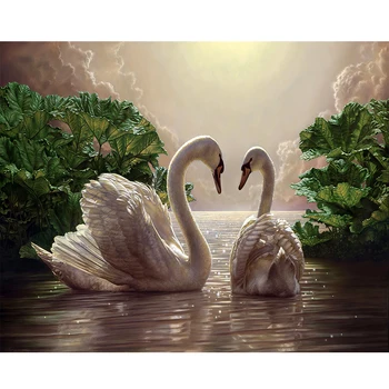 Okvir Swan Živali DIY Barvanje S Številko Sodobne Handpainted Oljna slika, Akril Barva Za Številke Za Dom Dekor 40x50