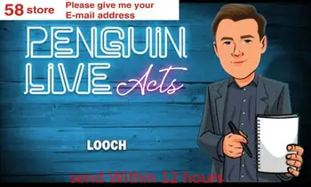Looch Pingvin Live ACT