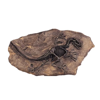 Tyrannosaurus Tossil Okostje Dekoracijo Sten Zmaj Jurassic Dinozaver Fosilnih Simulacije Živali Poučevanja Model Otroci Darila Igrače