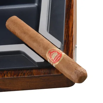 CIGARLOONG volne cigar pepelnik Velika moda osebnost ktv N4