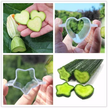 5Pcs/set Plastičnih Kumare Apple Rastlinsko Rast, ki Tvorijo Plesni Srce/Star/Ljubezen Sadje Oblikovanje Plesni Pregleden Vrt Vrtec Pot