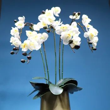INDIGO- (5pcs/veliko Z Vazo), Bela Orhideja DIY Cvet Arrangment Latex Pravi Dotik Sprejem Tabela Centerpiece Stranka Notranje Trim