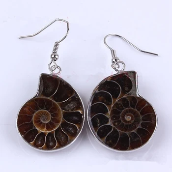 Naravni Ammonite Uho Stud Polž Rezina Visijo Kavljem Uhani Čar, Lep Modni Nakit Dodatki QDD9640