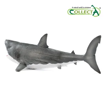 1:40 Collecta Sea Life Megalodon Shark Klasične Igrače Za Otroke, Fantje Zbirka Prazgodovinske Živali Model Movalbe Čeljusti 88887