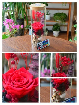 Novost, Božič, Valentinovo, darila za Dom Dekor Steklo Pokrova Sveže Konzervirane Rose Cvet Nesmrtni Večno Rose Svetlobe