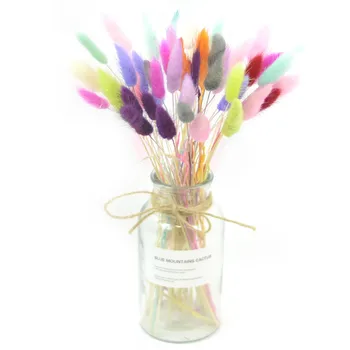 50pcs Lagurus ovatus zajec rep travo, naravno sušene pampe cvetje, poročne šopke cvetja bela, roza barve za dom dekor