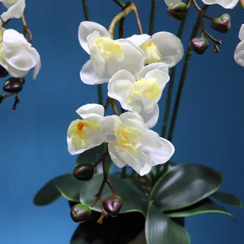 INDIGO- (5pcs/veliko Z Vazo), Bela Orhideja DIY Cvet Arrangment Latex Pravi Dotik Sprejem Tabela Centerpiece Stranka Notranje Trim