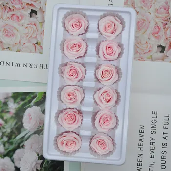 12PCS/BOX 3 cm, Konzervirane Cvetov Rose Cvet Nesmrtni Rose Valentinovo Darilo Večno Življenje Cvet Darilo Veleprodajni Ravni B
