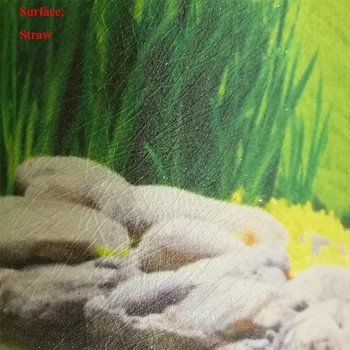 Risanka Ozadje Za Otroke Meri 3D Morskega dna Svetu Steno stensko Delfinov, Morskih psov Kita Foto Ozadje Za Otroke Spalnica Steno Dekor