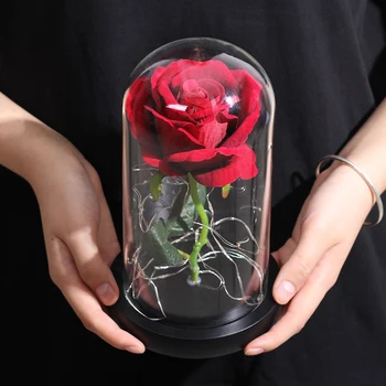 Večno Konzervirane Rose s Stekleno Kupolo, Svila Rose Večno Ljubezen z 10 LED Luči Za Poroko Korist Stranke, Darila za Ženske
