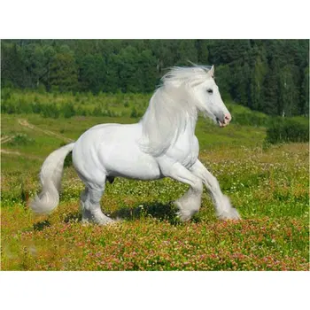 5d diamond slikarstvo belem konju, poln kvadrat diamond mozaik živali obrti vezenje doma dekoracijo