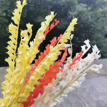 25 g/30-40 cm,Naravna Posušeno cvetje Šopek,Eternelle Zaslon Trobenta Cvet Glave za Poroko Doma Stranka Okrasni dodatki