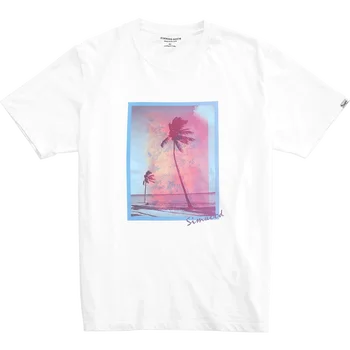 SIMWOOD 2020 poletje novih počitniških t-shirt moški bombaž Palm tree tanke dihanje plus velikost vrhovi blagovno znamko oblačil SJ170710